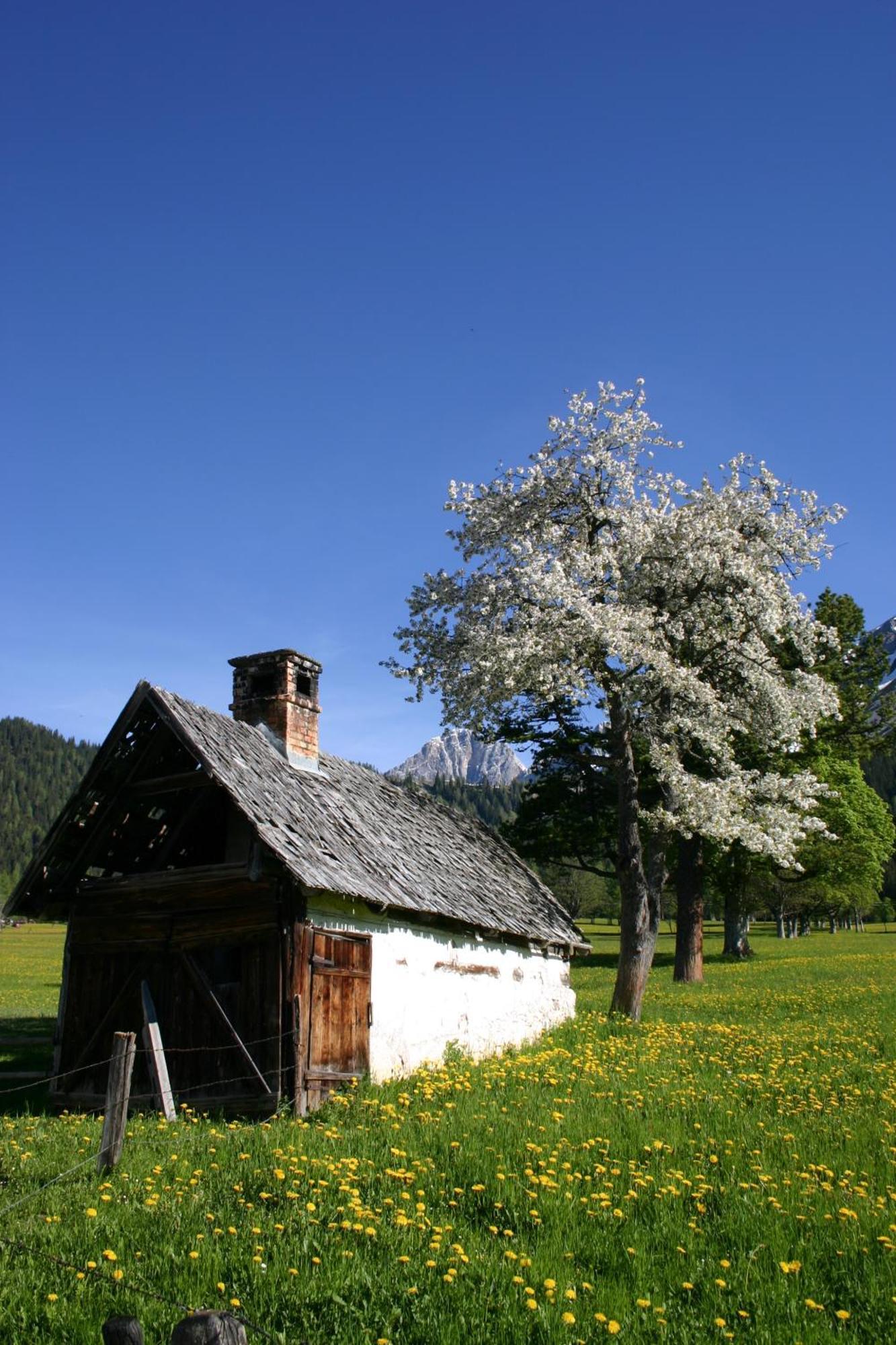 Hotel Sonnhof Ramsau am Dachstein Zewnętrze zdjęcie